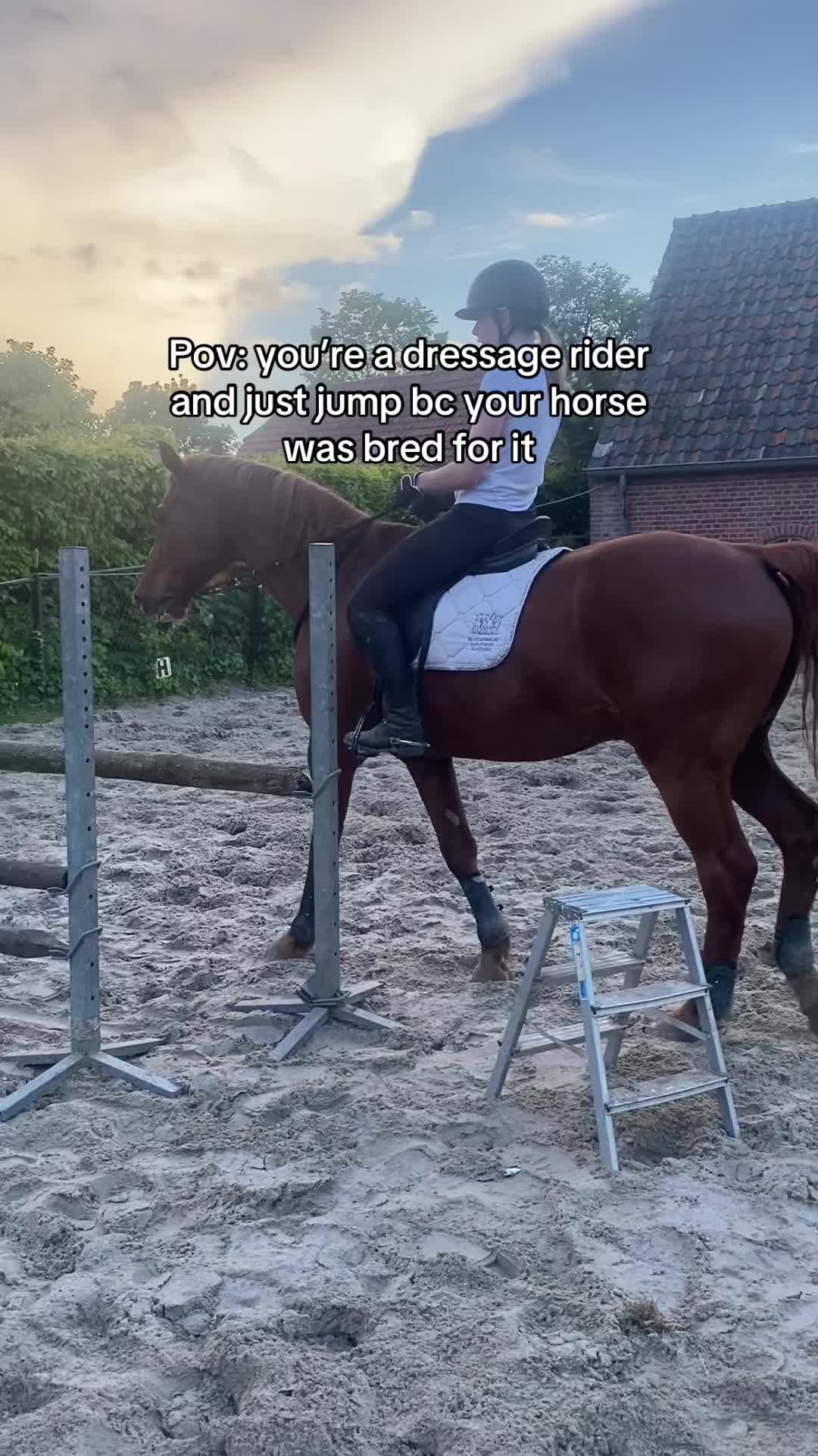 @🇳🇱Madelief🇳🇱