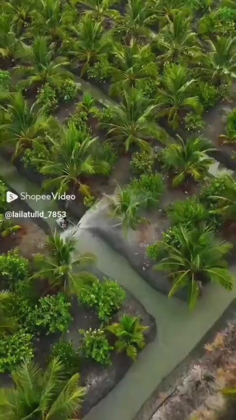 @SEKEDAR HIBURAN