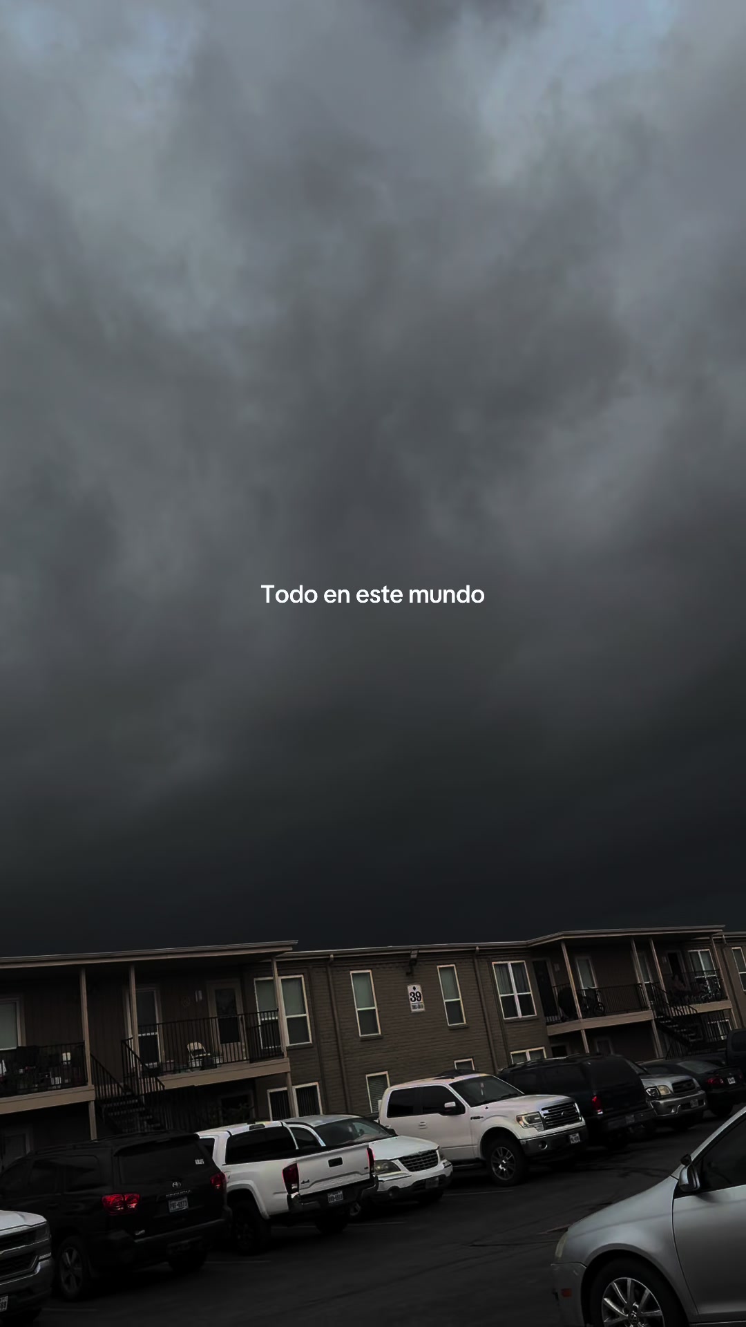 @Echeverría-1999