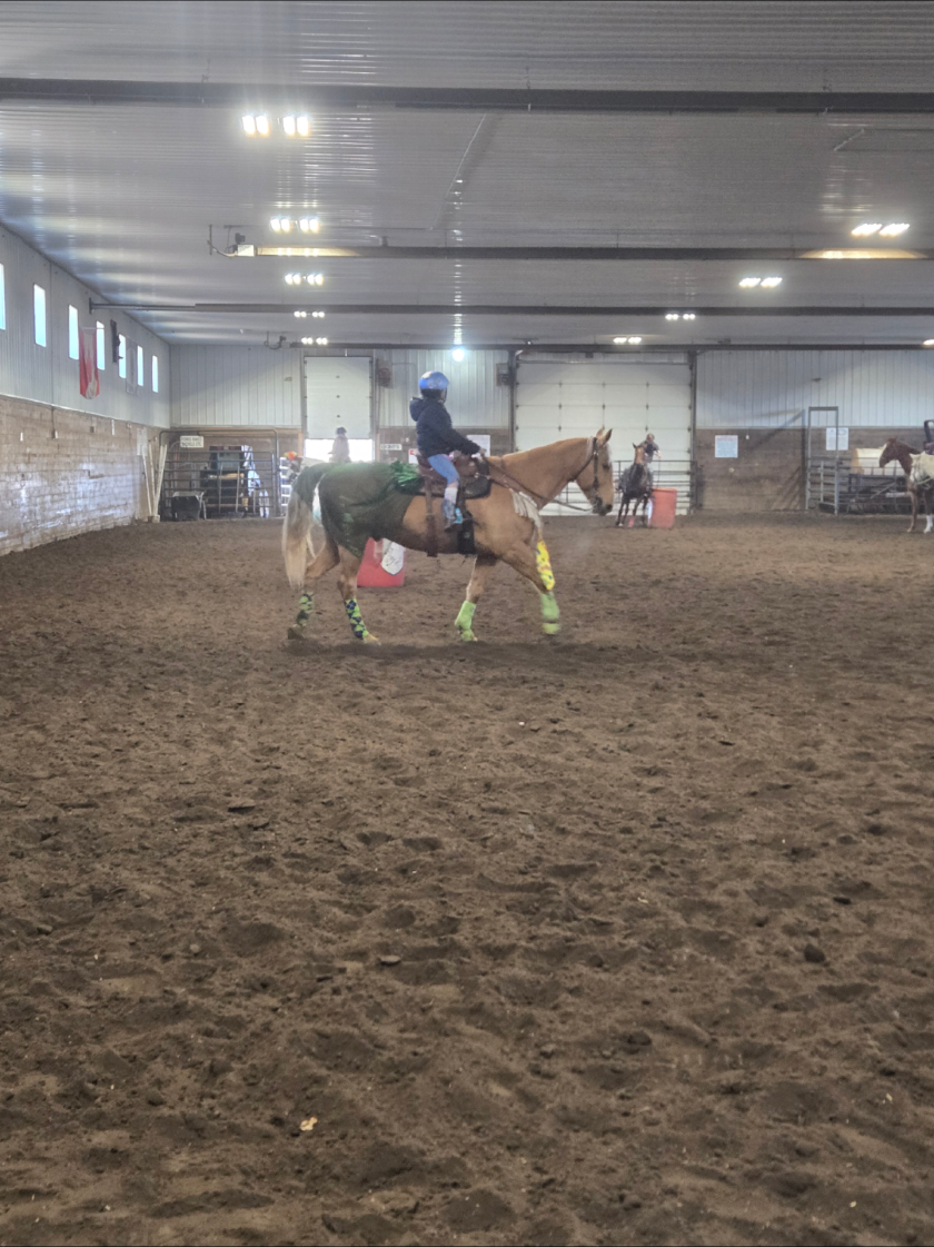 @EquestrianWeirdo