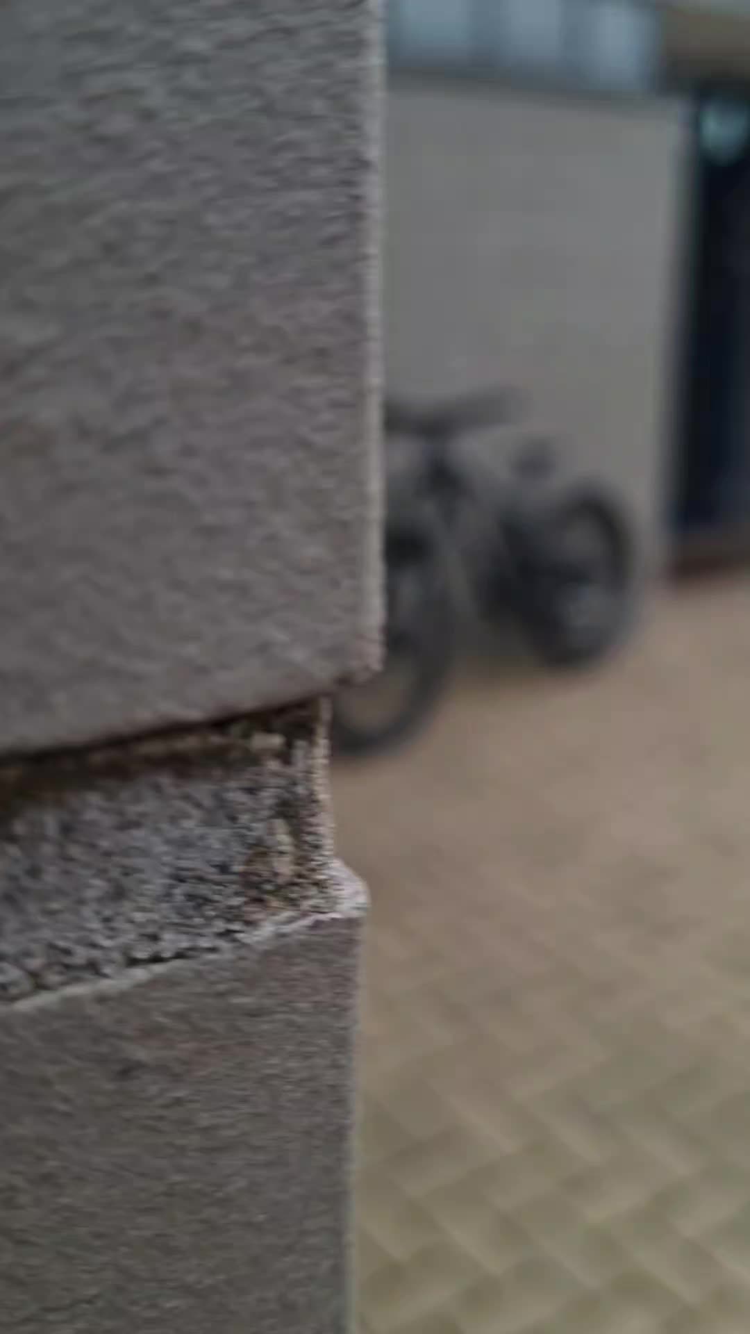 @Max.freeride1