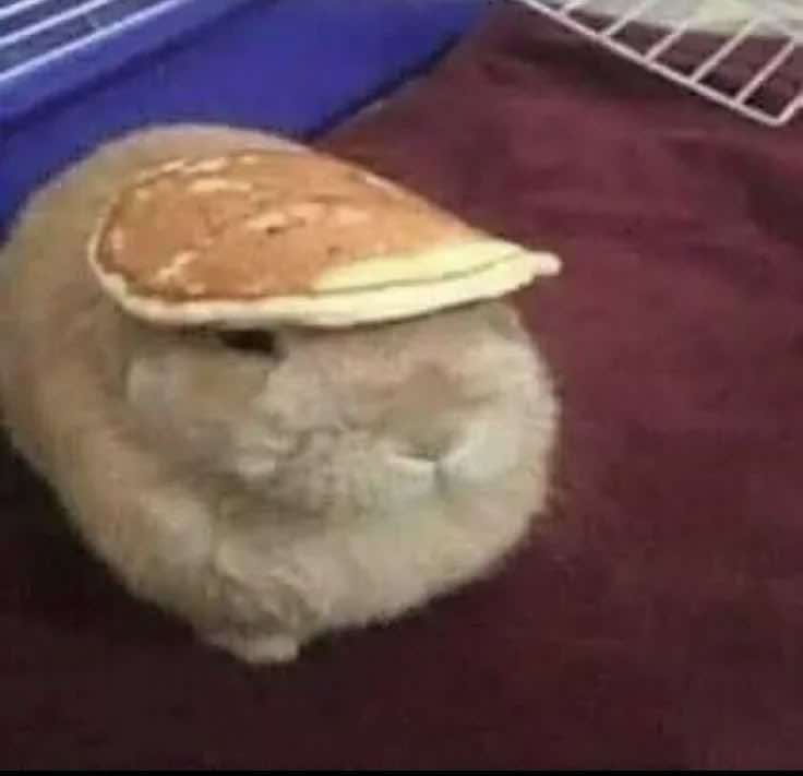 @꒰ঌ ໒꒱