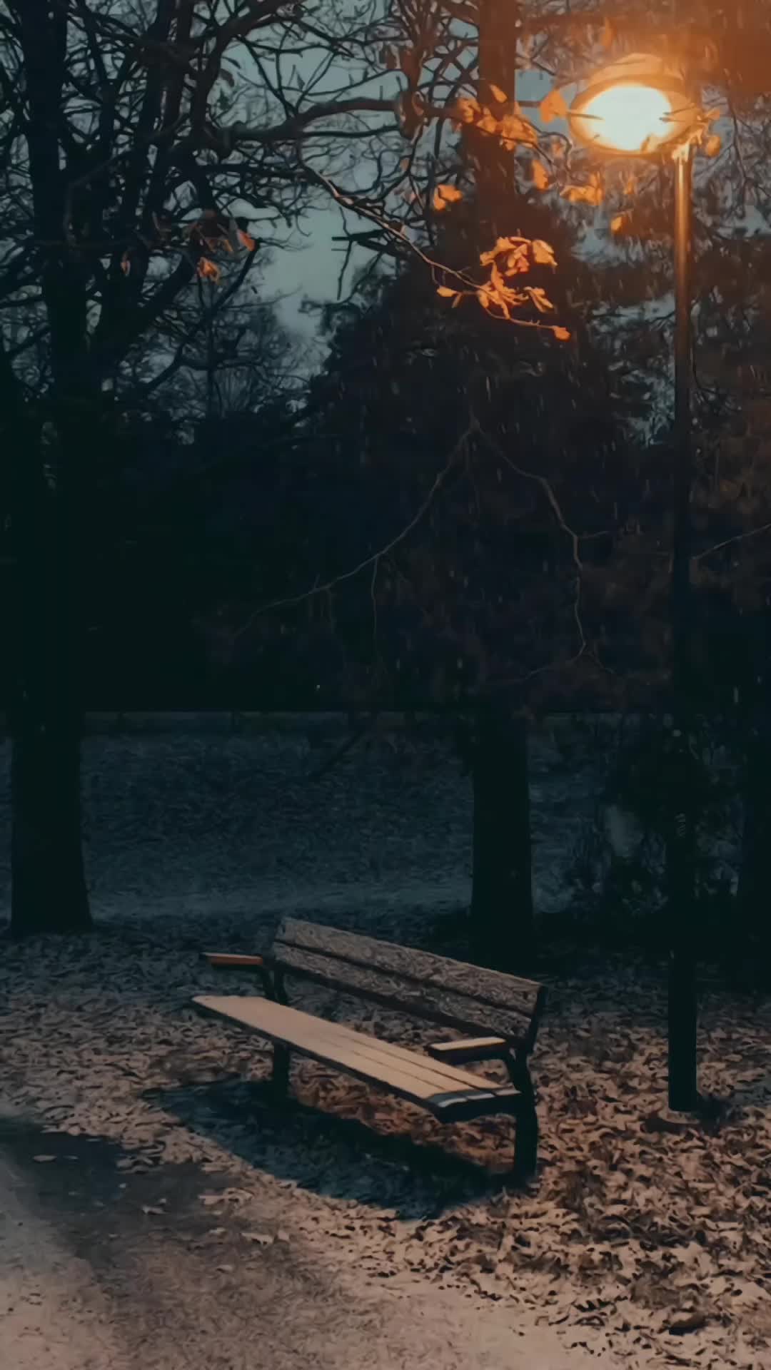 @🫡𝑯𝒂𝒋𝒊 💔 مازدیگر 🥶