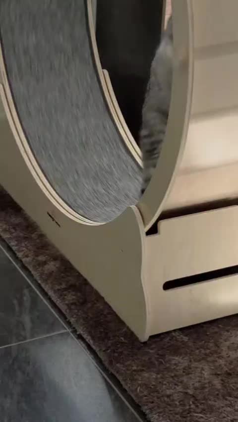 @Eva