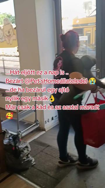 @Viki-Kutyakozmetika Másképp