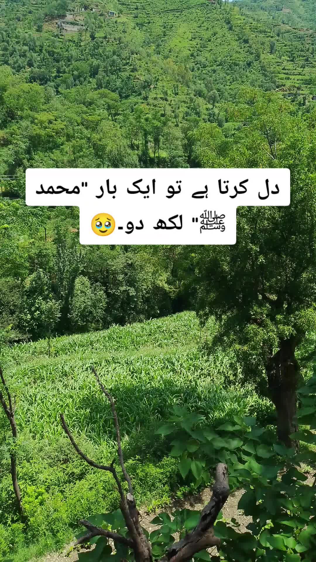 @𝗜𝗦𝗟𝗔𝗠𝗜𝗖 𝗩𝗜𝗕𝗘𝗦 ✅