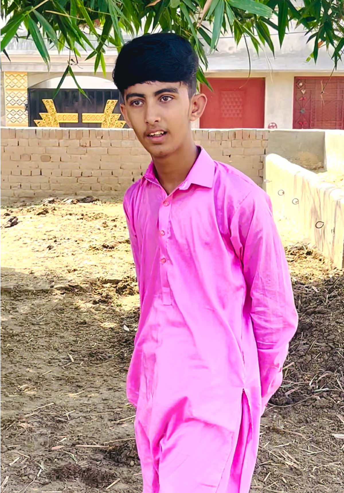 @AneelChand