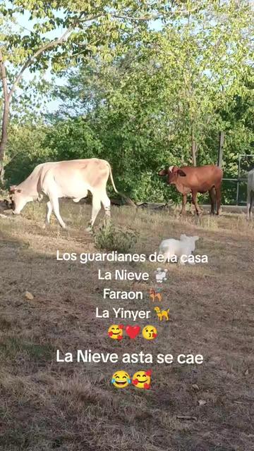 @Ileana💐 flores 🥰
