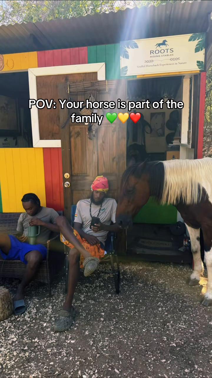 @roots_riding_stables