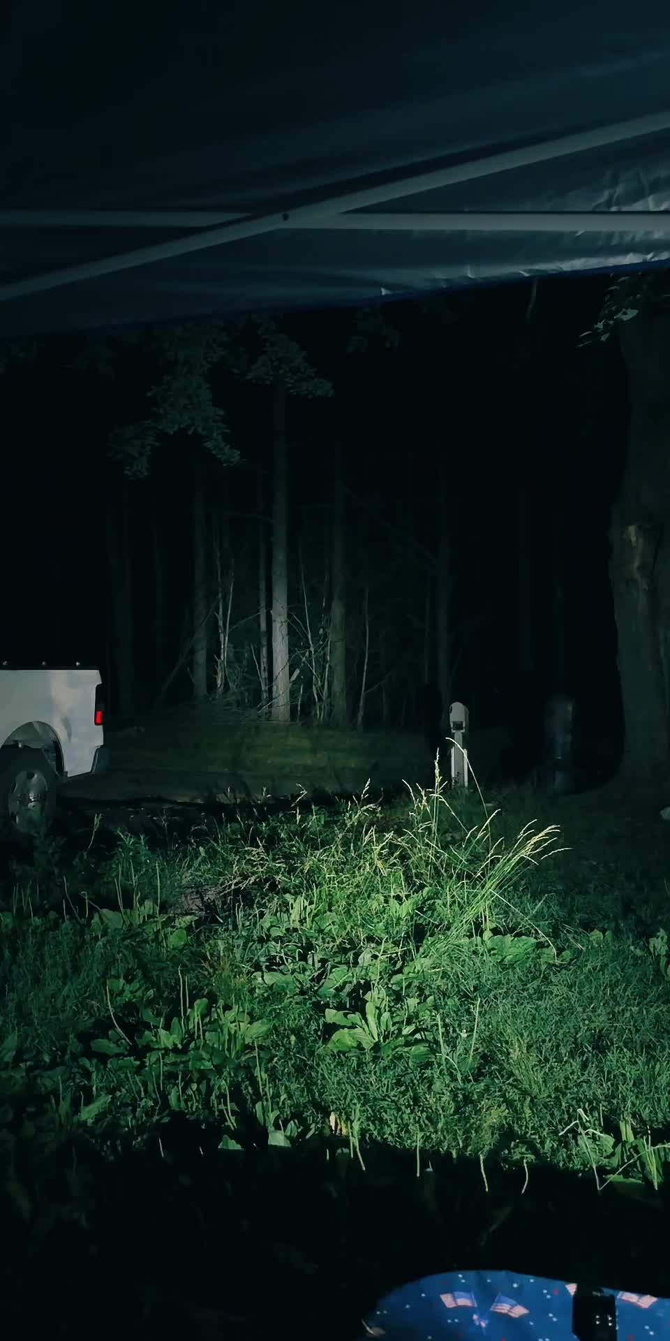 @🕯️✨Porchlight Paranormal✨🕯️