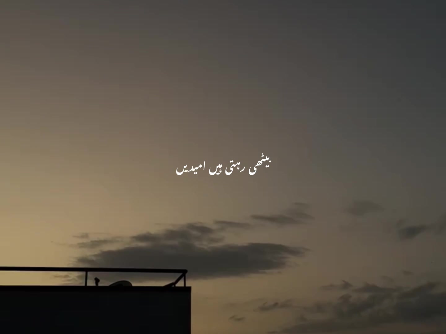 @ʟᴏꜰɪ ᴅʀᴇᴀᴍꜱ