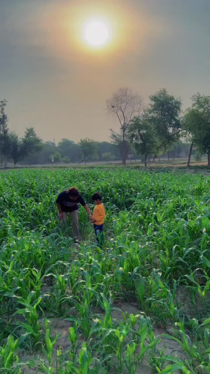 @farazmultani13