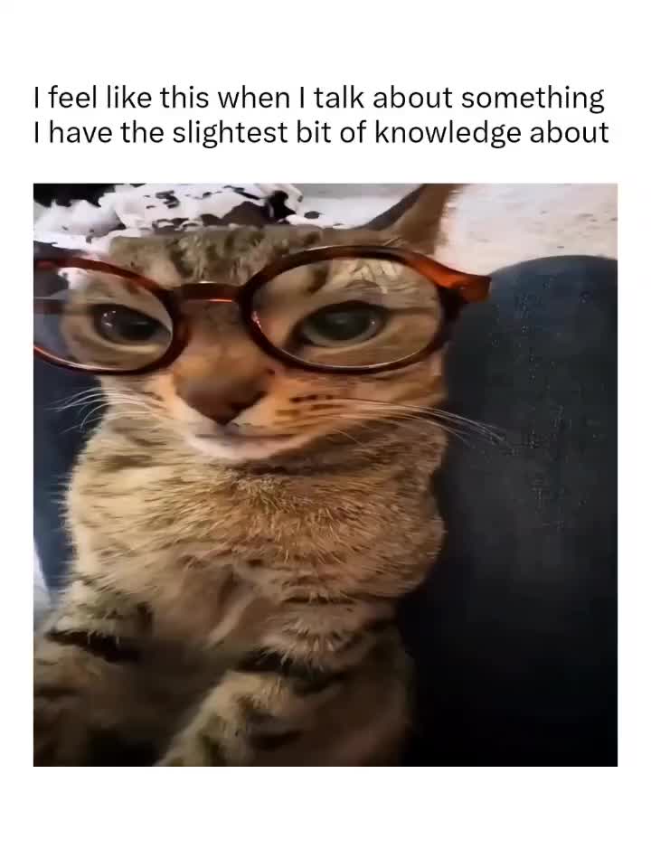 @Memezar