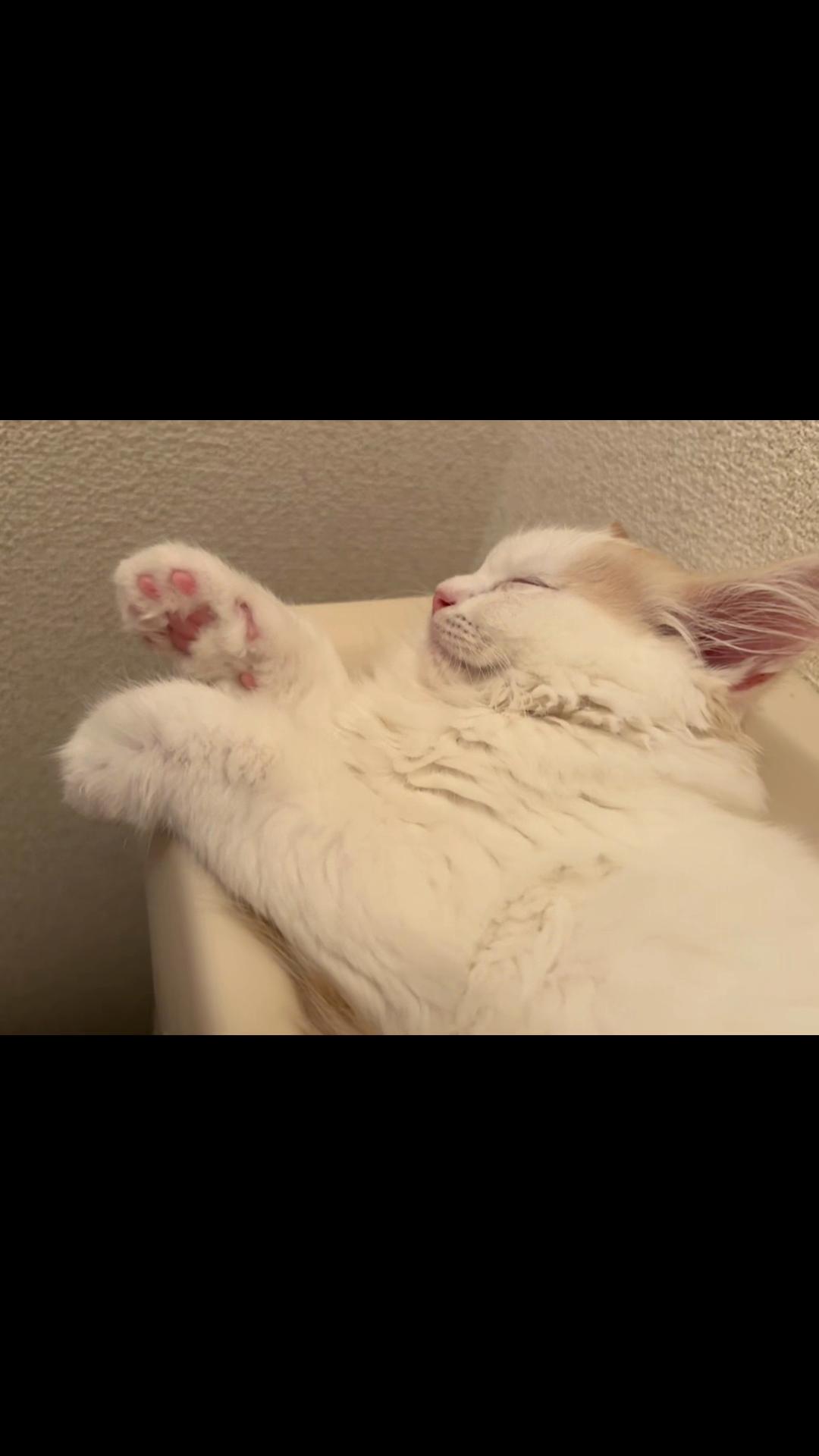 @Kiki