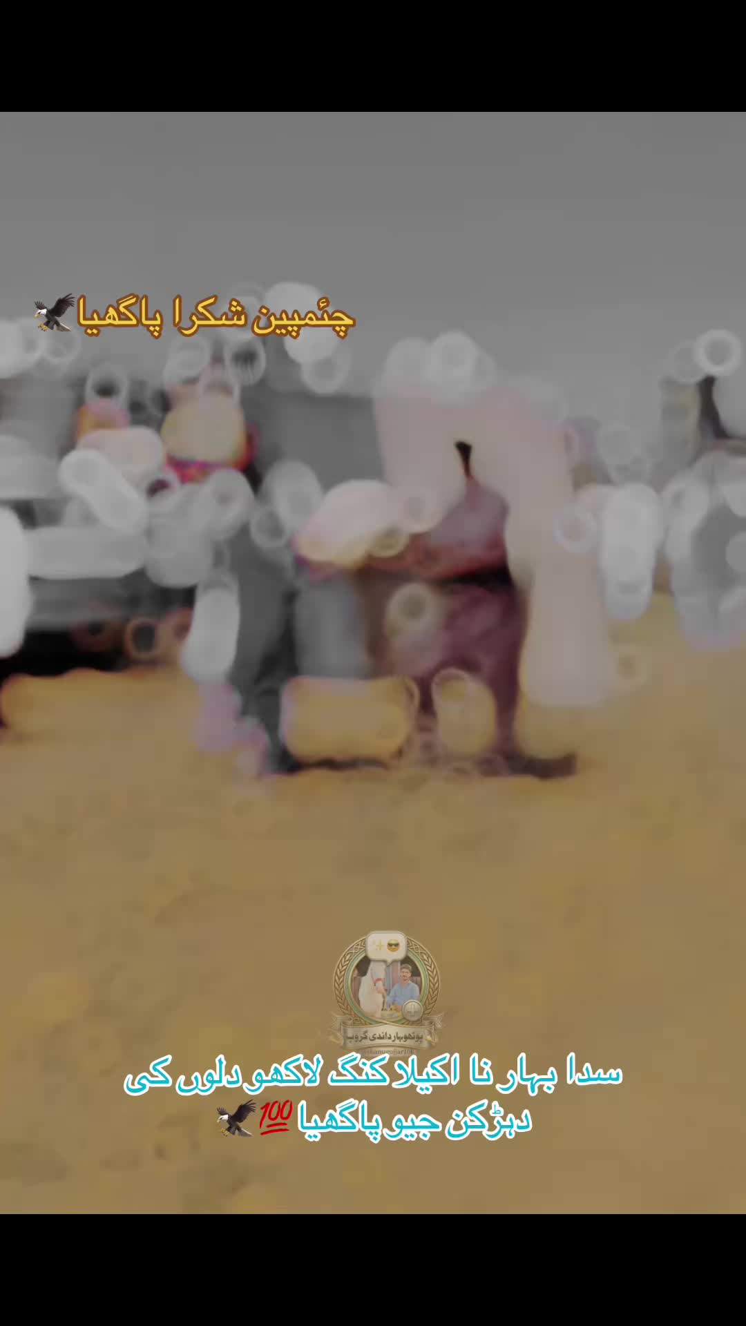 @👑💫پوٹھوہار داندی گروپ⚡️👑