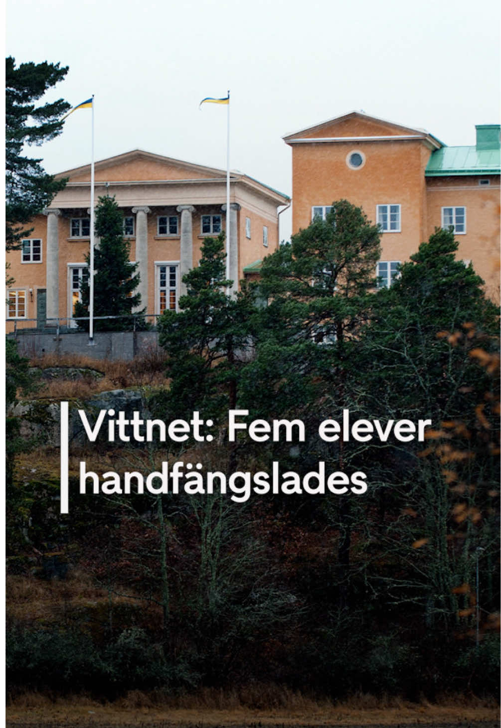 @TV4 Nyheterna