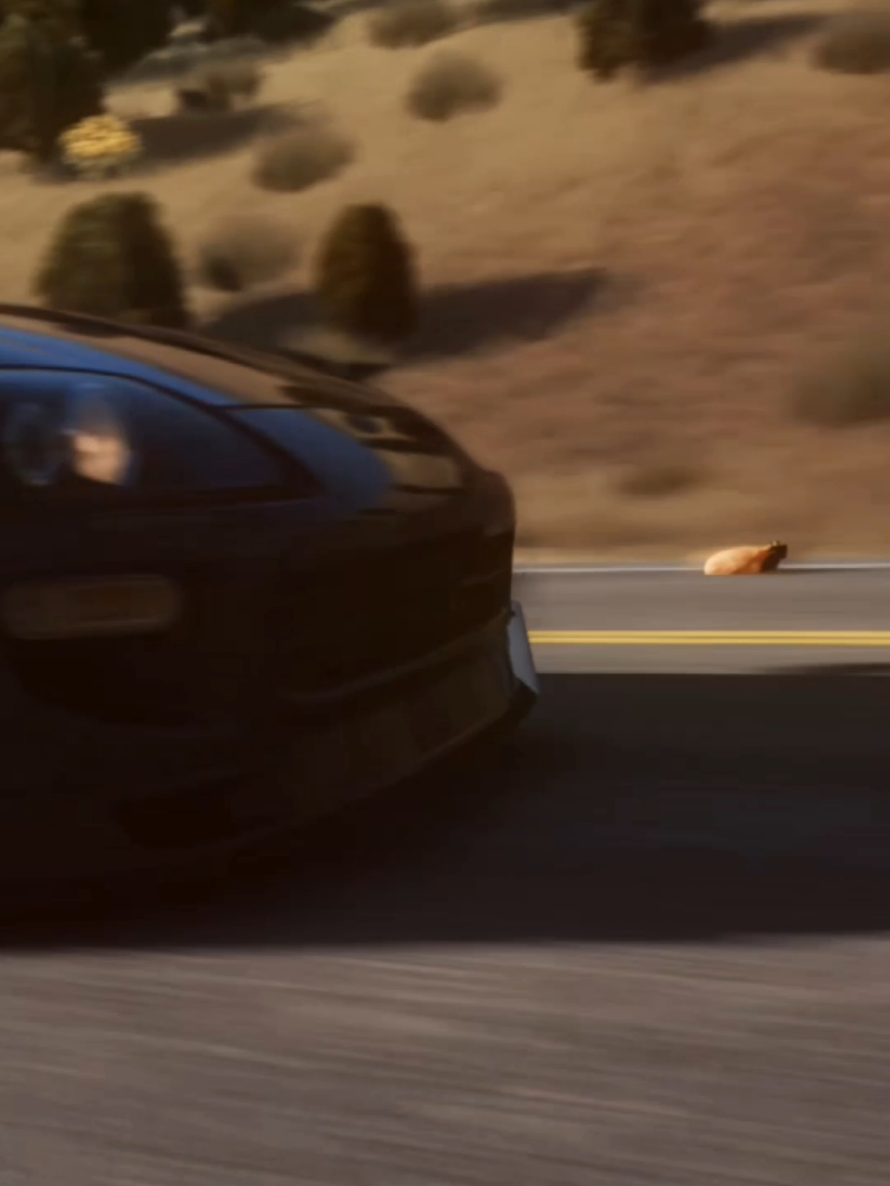 @Pablo the Race Cat