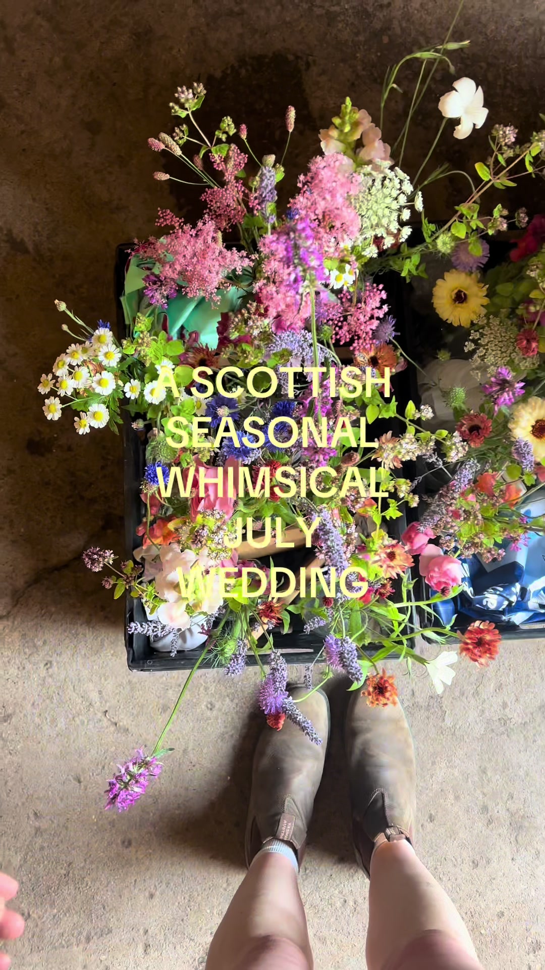 @Roisin 🌷 VerdeFlowerCo