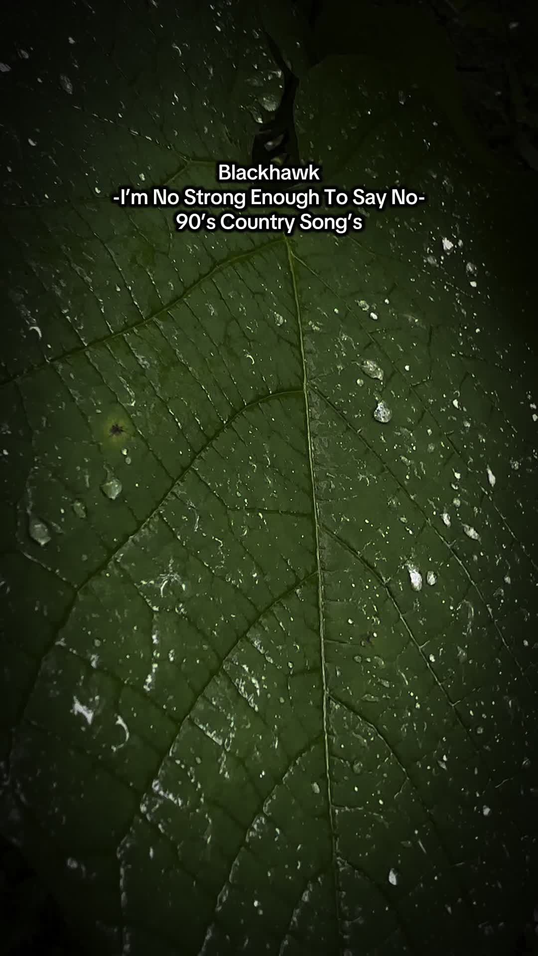 @naturesforestcore
