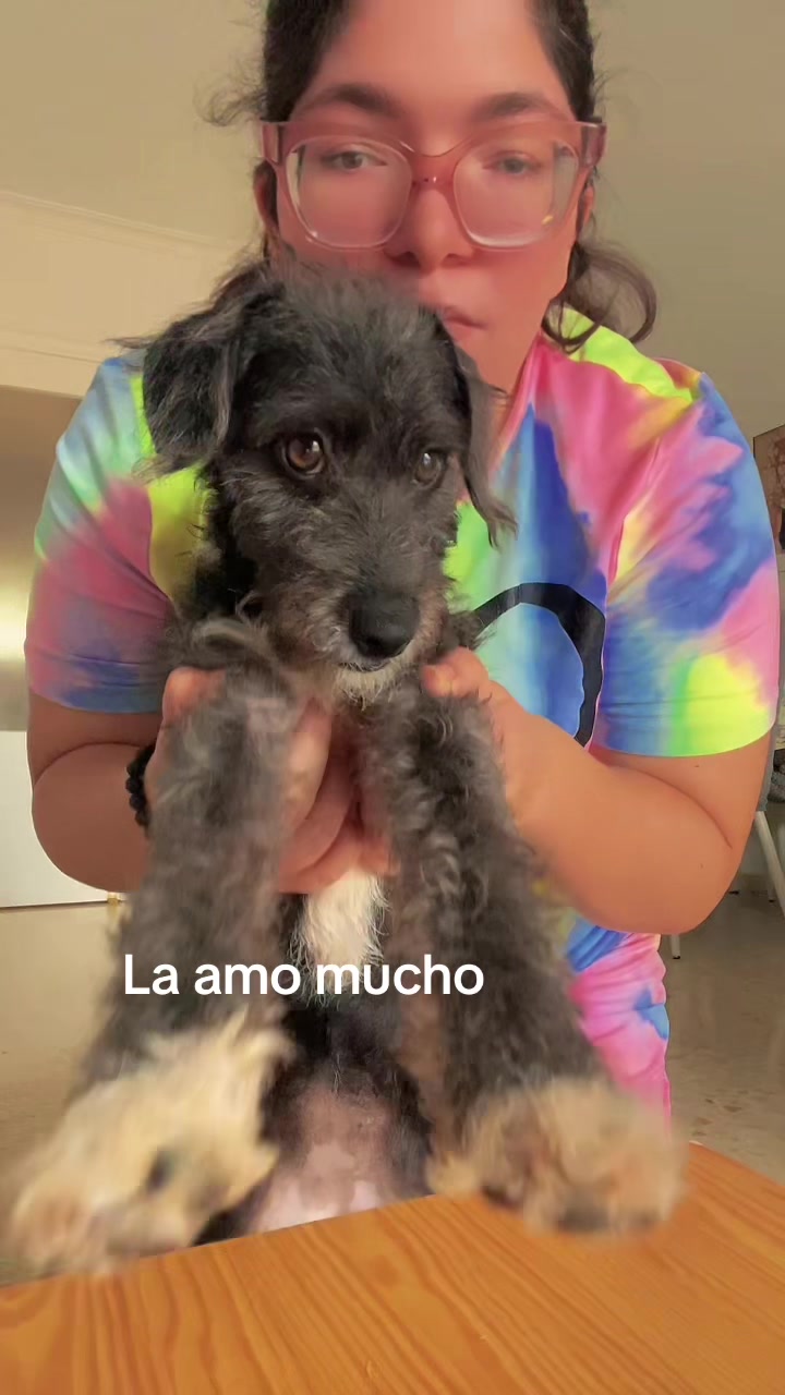 @consitolinda20