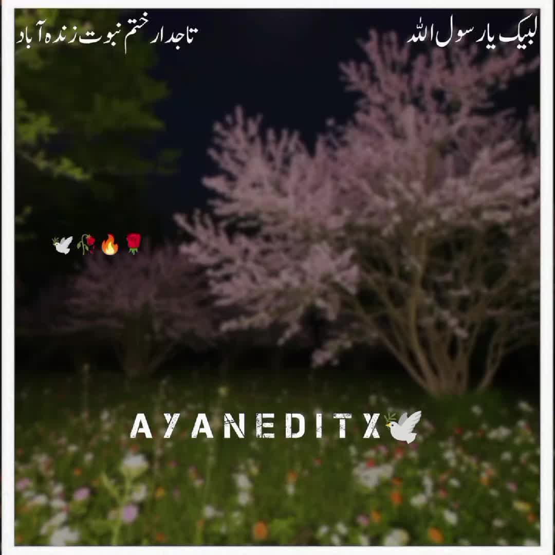 @NaVeeD