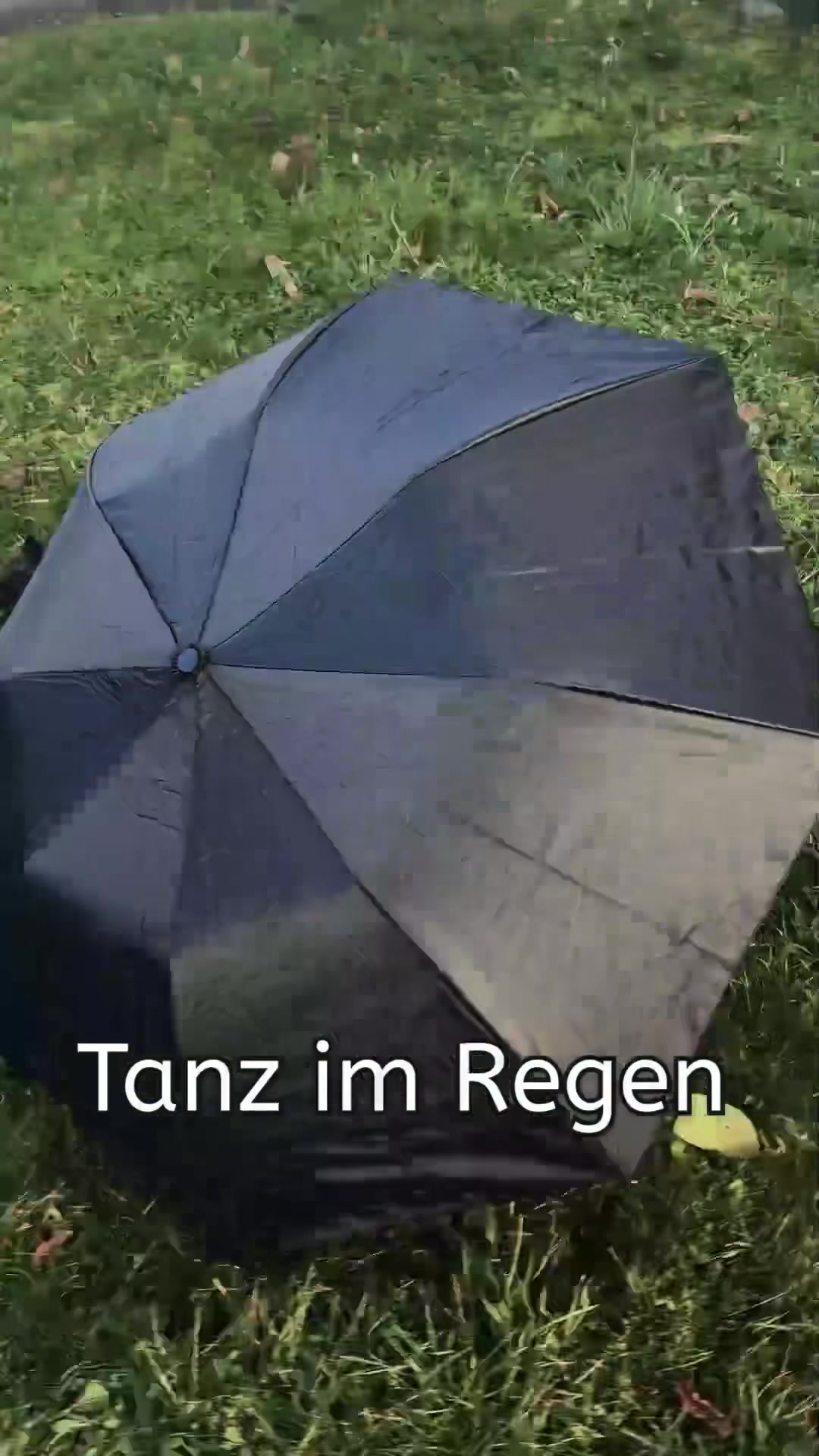 @LEISE