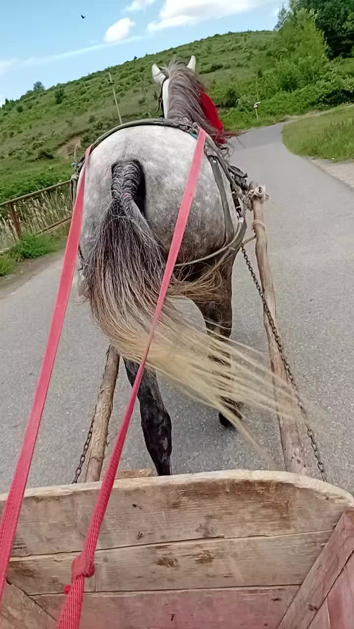 @Sebi Lazăr