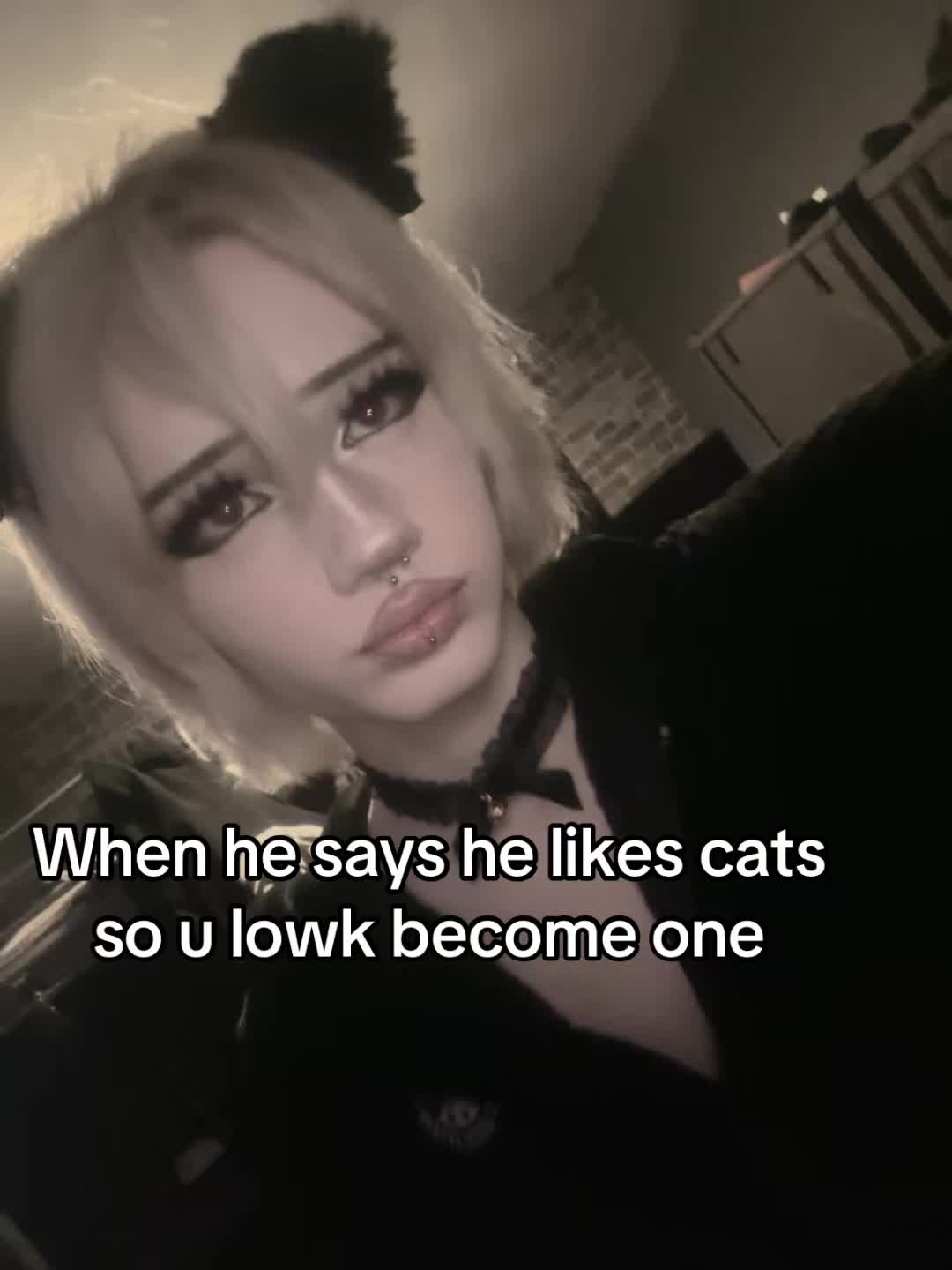 @・𝓒𝓺𝓫𝓮𝓻𝓯𝓪𝓬𝓮・
