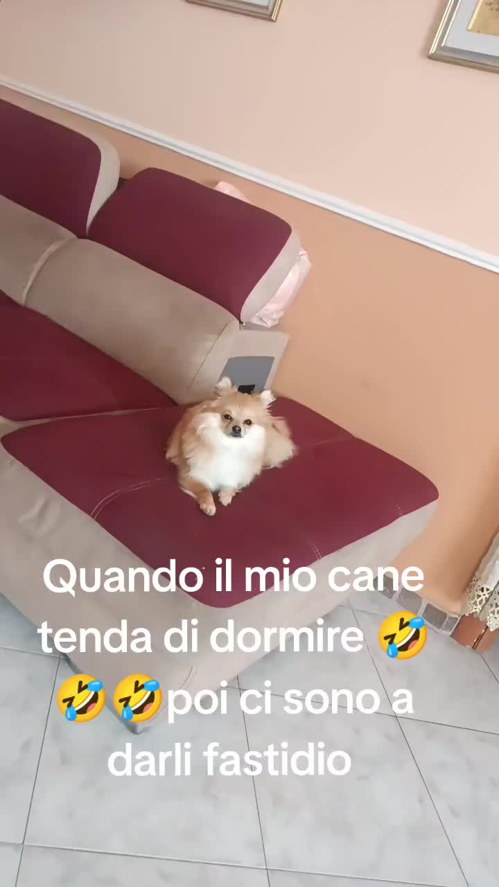 @AnnaPia Mazzariello