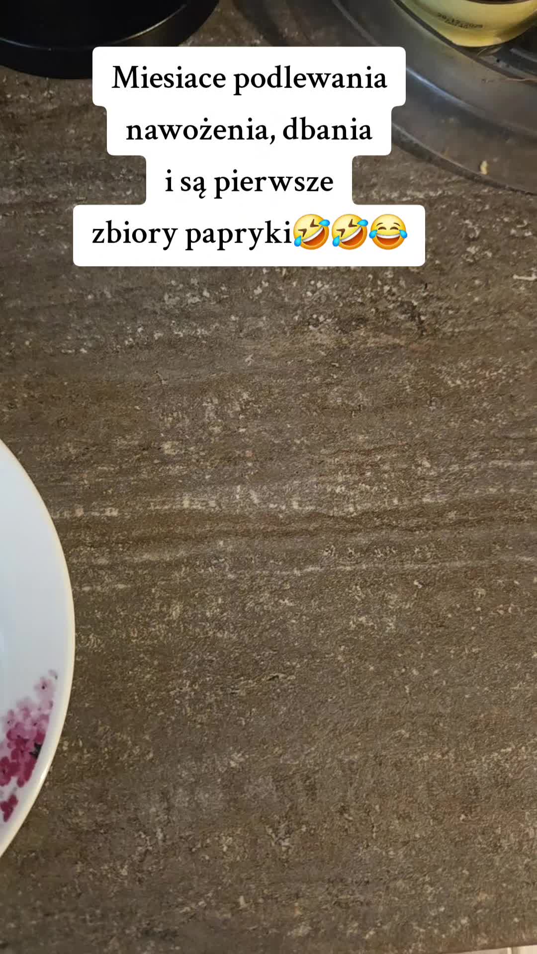 @zycienawsi51🧶