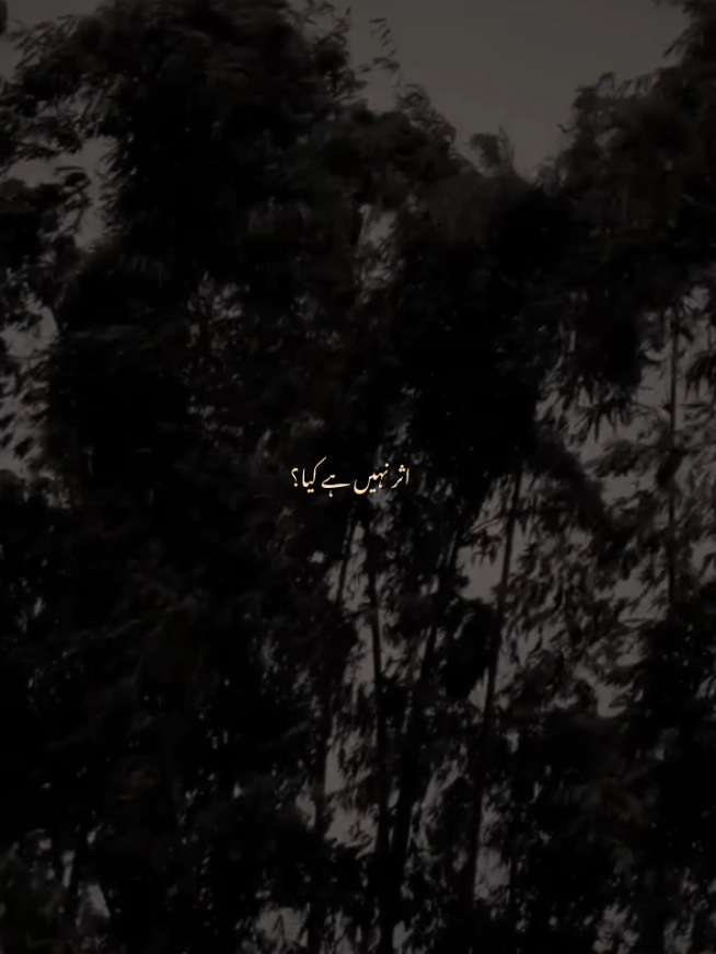 @ف🦋