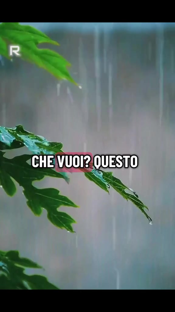 @Patrizia Veronica