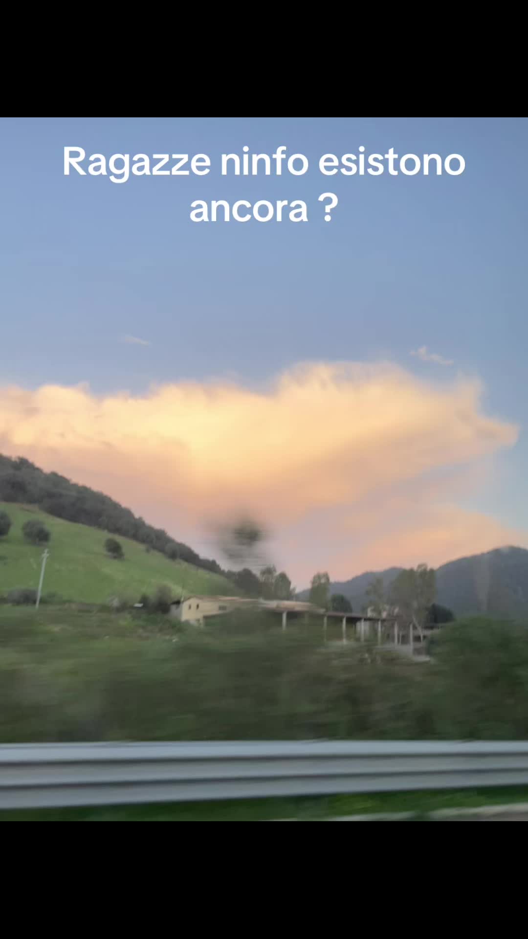 @Ninfoboy