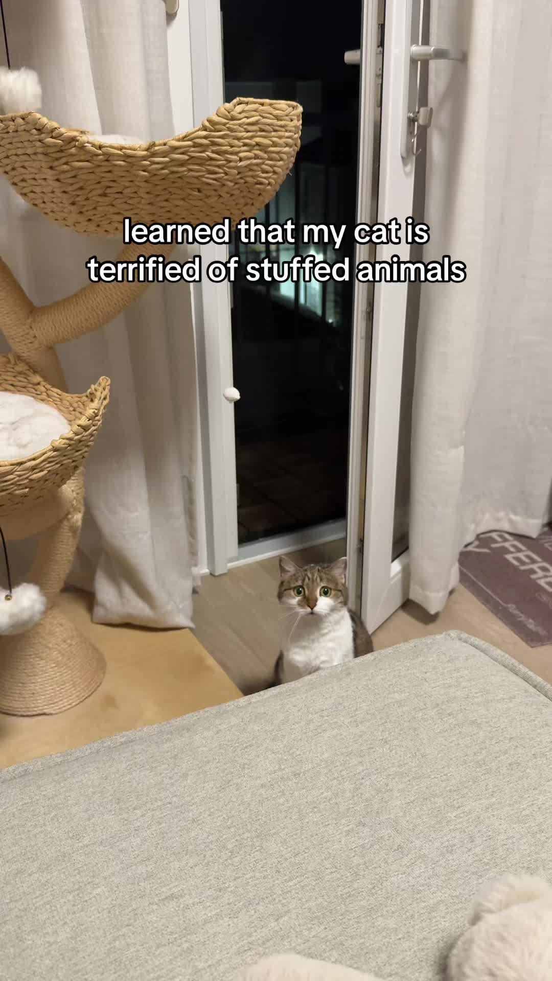 @Suki Purrs