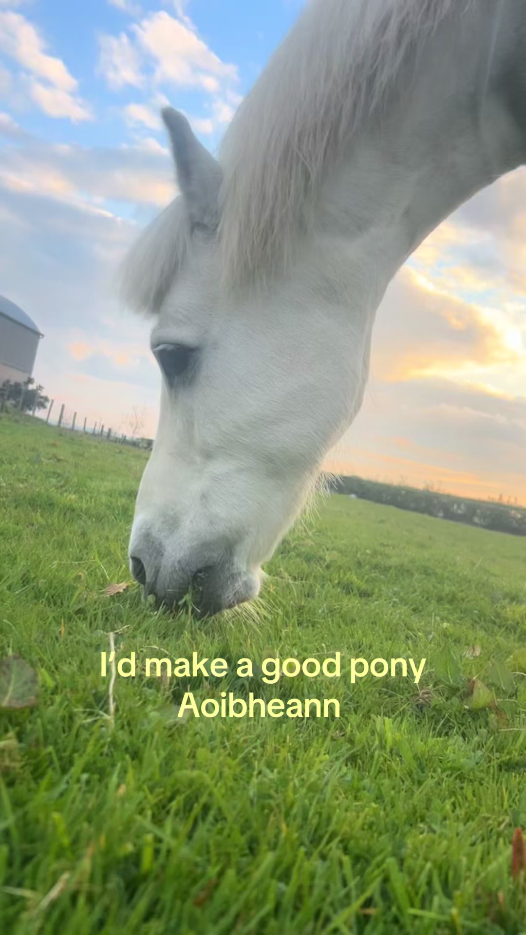 @aoibheann717