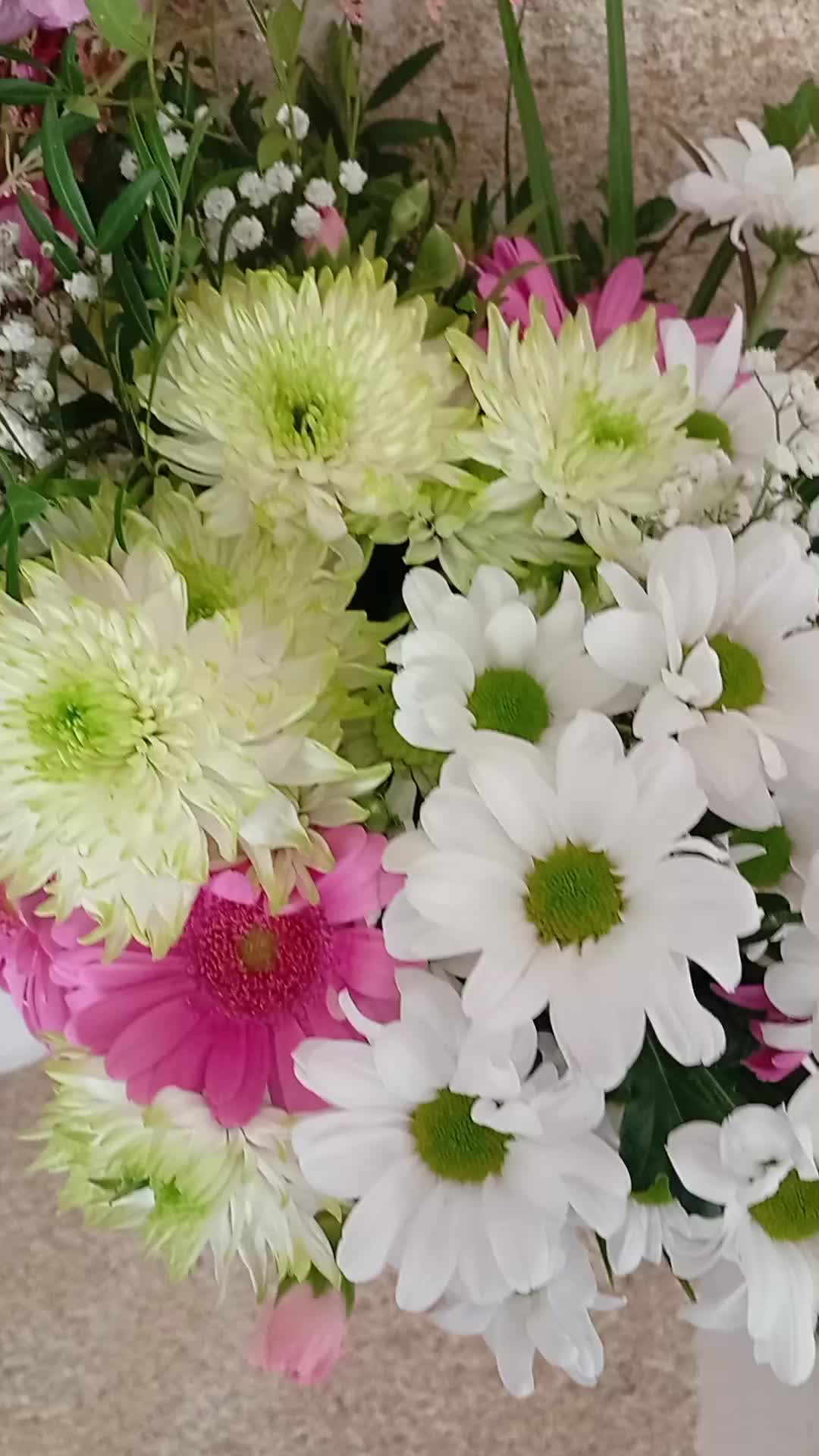 @limfranc