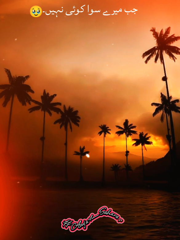 @𝐀𝐦𝐣𝐚𝐝_𝐒𝐚𝐡𝐚𝐫𝐚𝐧