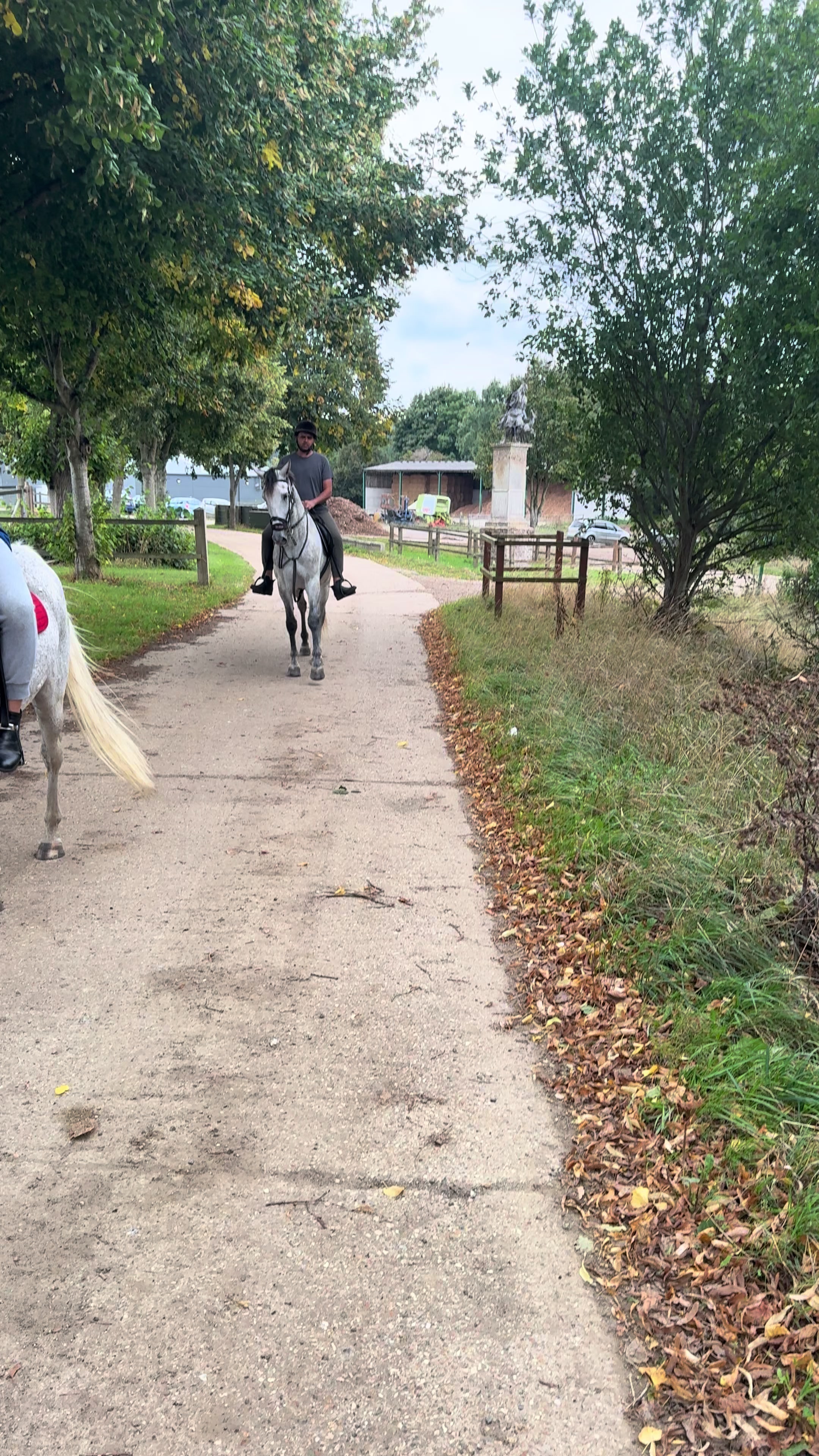 @Slough horses
