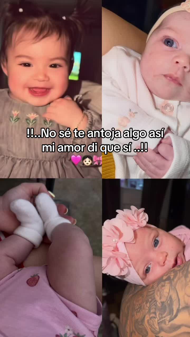 @rolitas502🇬🇹