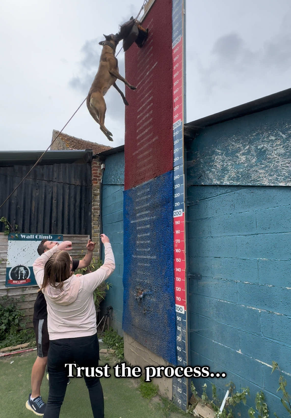 @Otha Malinois