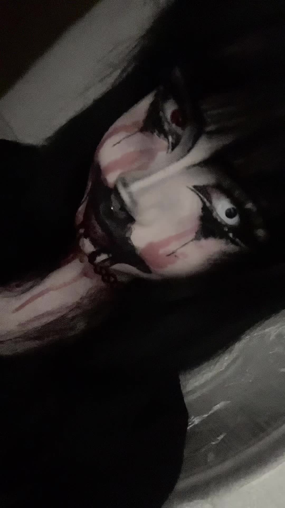 @૮₍ ˶•⤙•˶ ₎ა