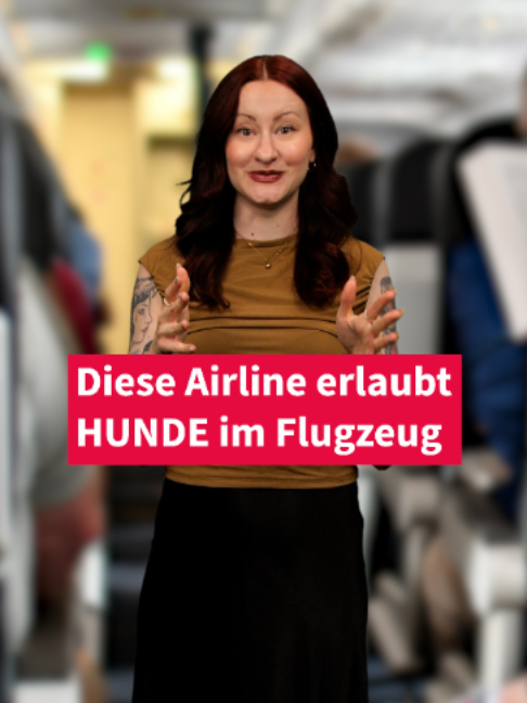 @Frankfurter Allgemeine