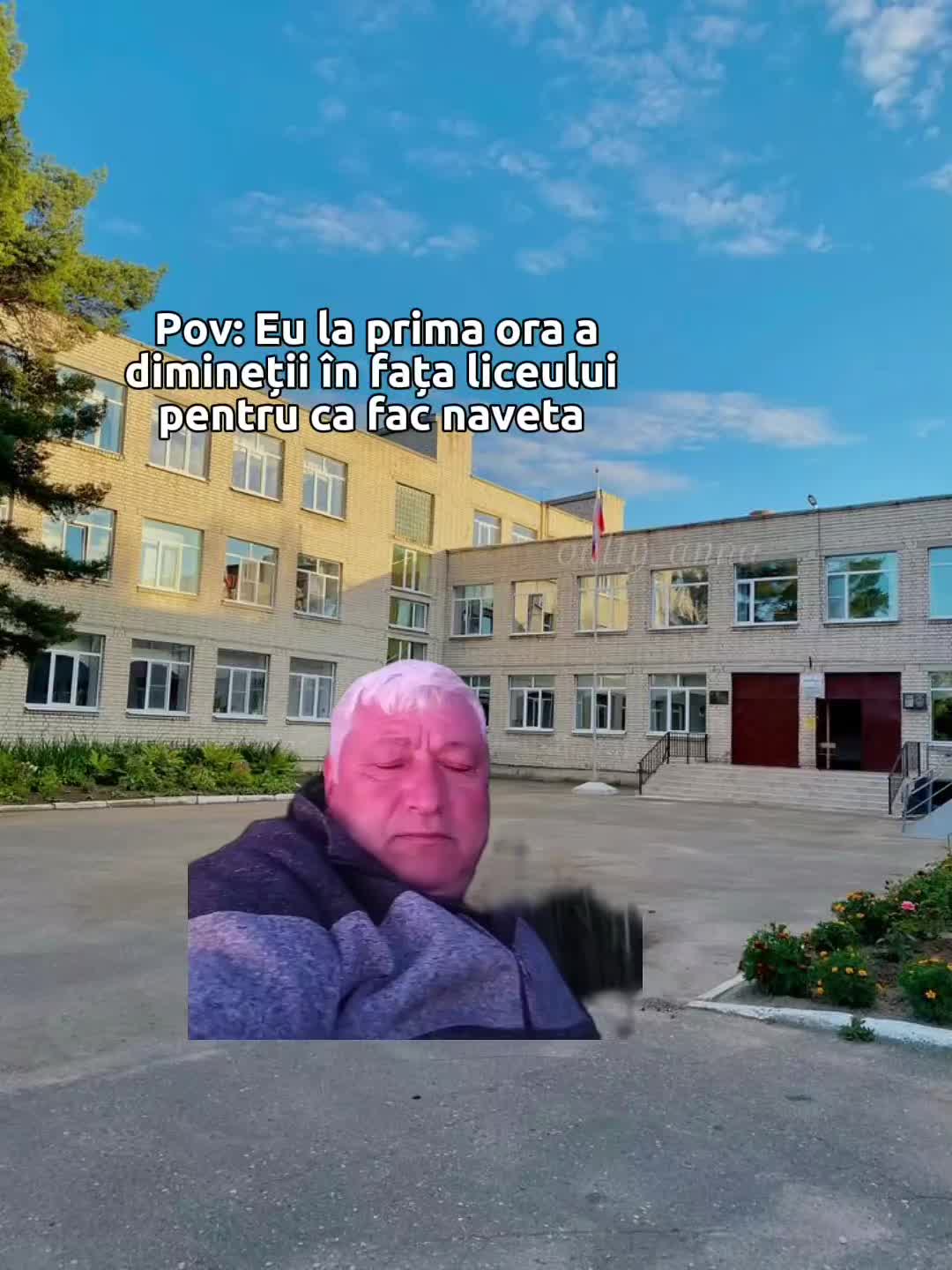 @🌺 𝑨 𝒏 𝒂 ꨄ︎
