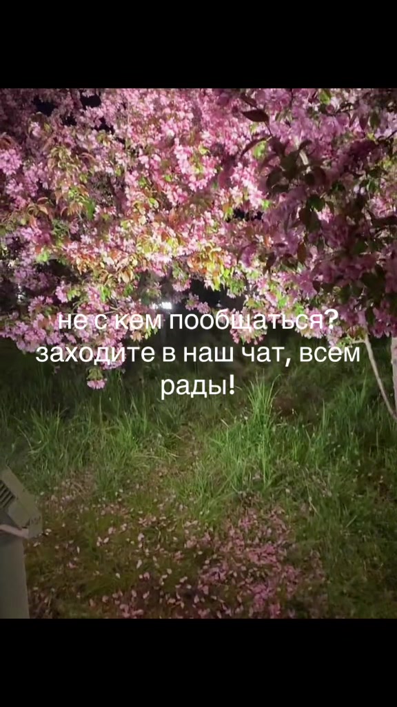 @tsunnderechat
