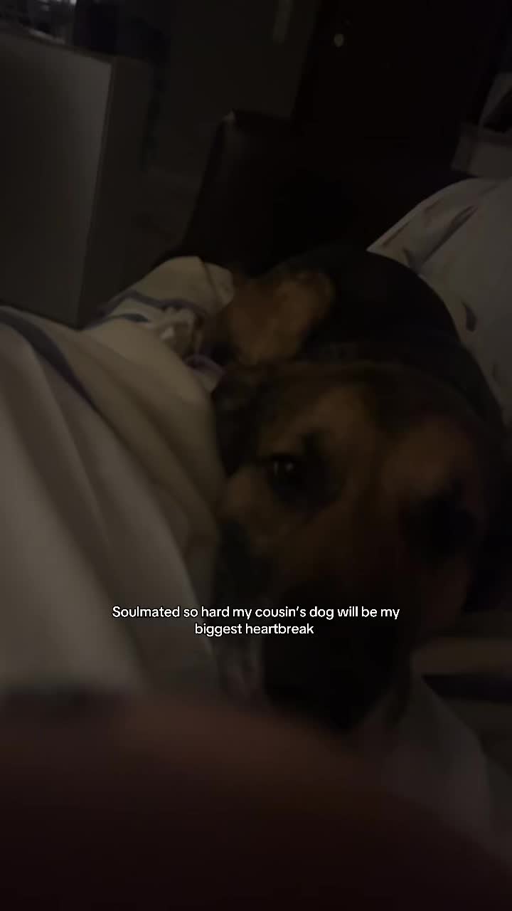 @xri🦭