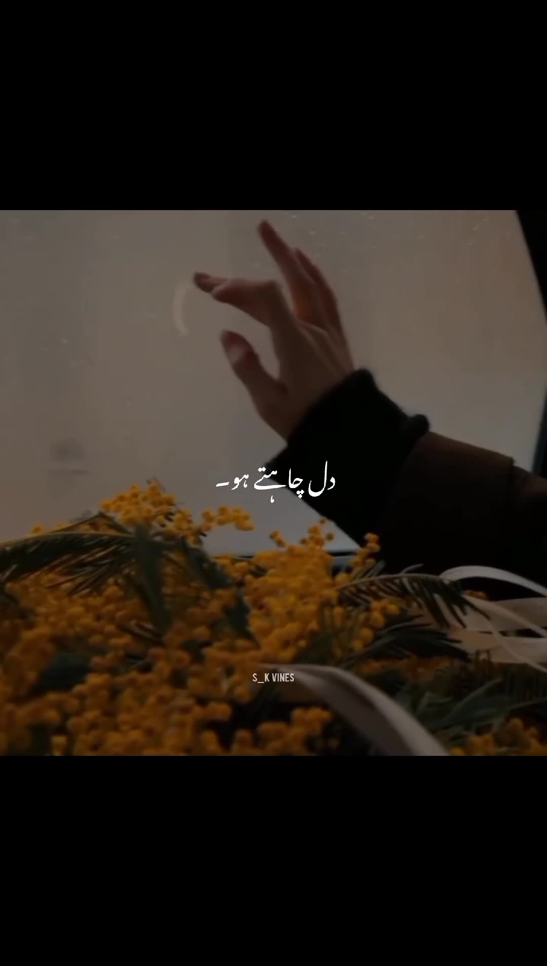 @S_K~Vibes ๐ซ