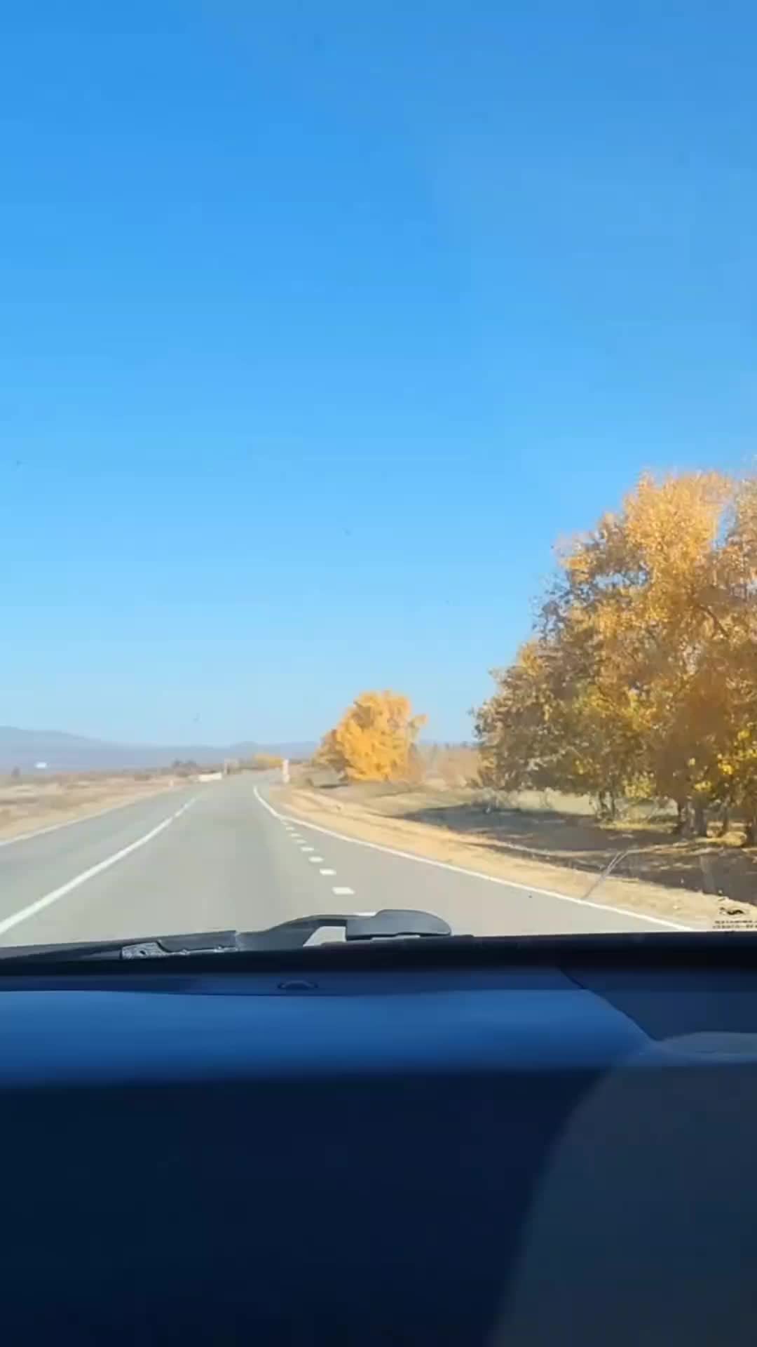 @dudenko1999