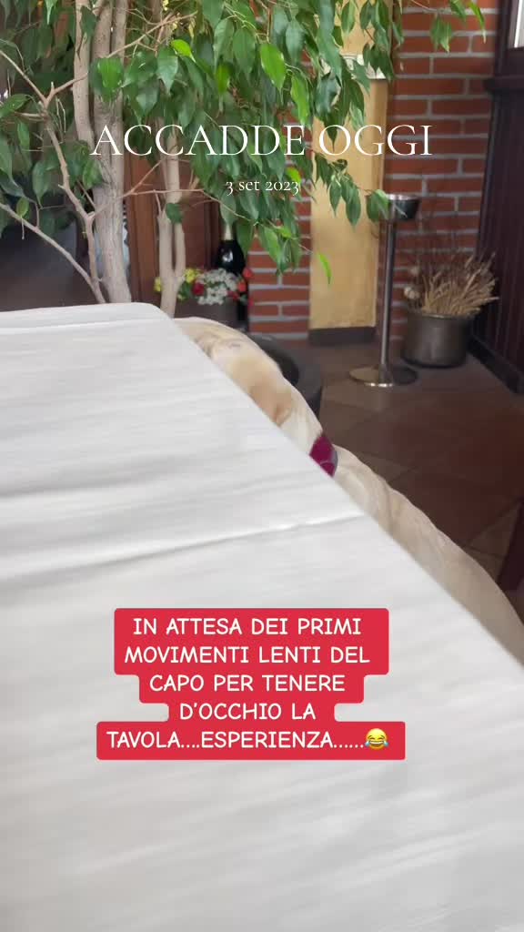 @Mono
