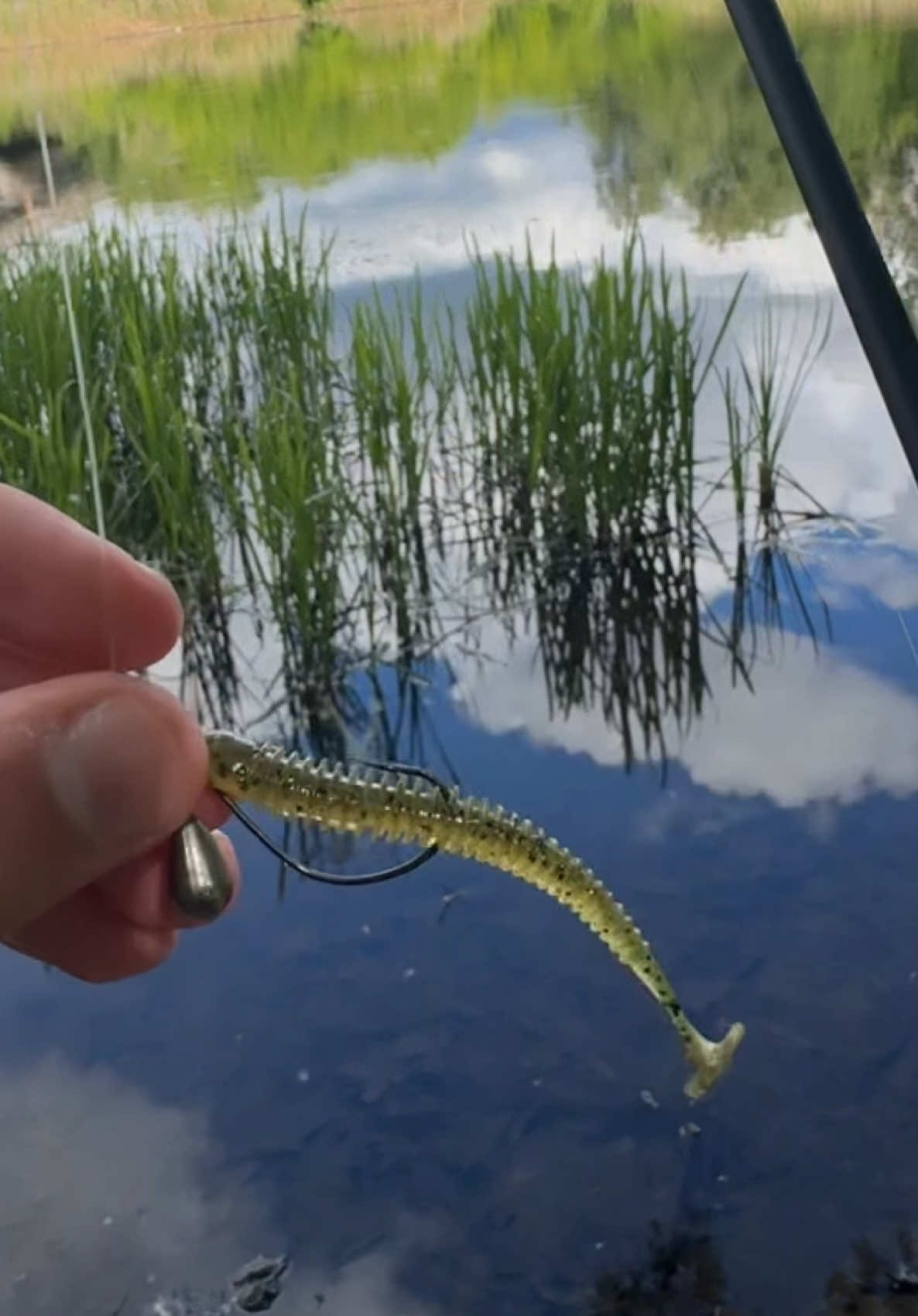 @𝗧𝗚.𝗗𝗬𝗫𝗙𝗜𝗦𝗛🎣