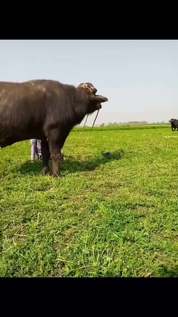 @𝓵𝓸𝓿𝓮𝓵𝔂⛎
